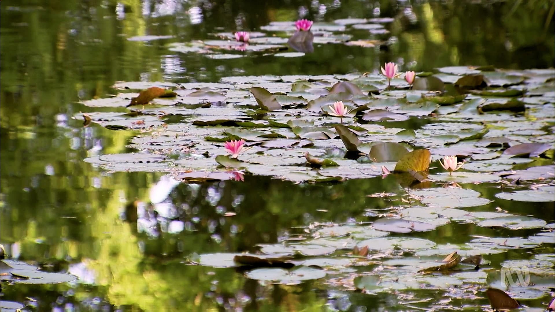 Los jardines franceses de Monty Don