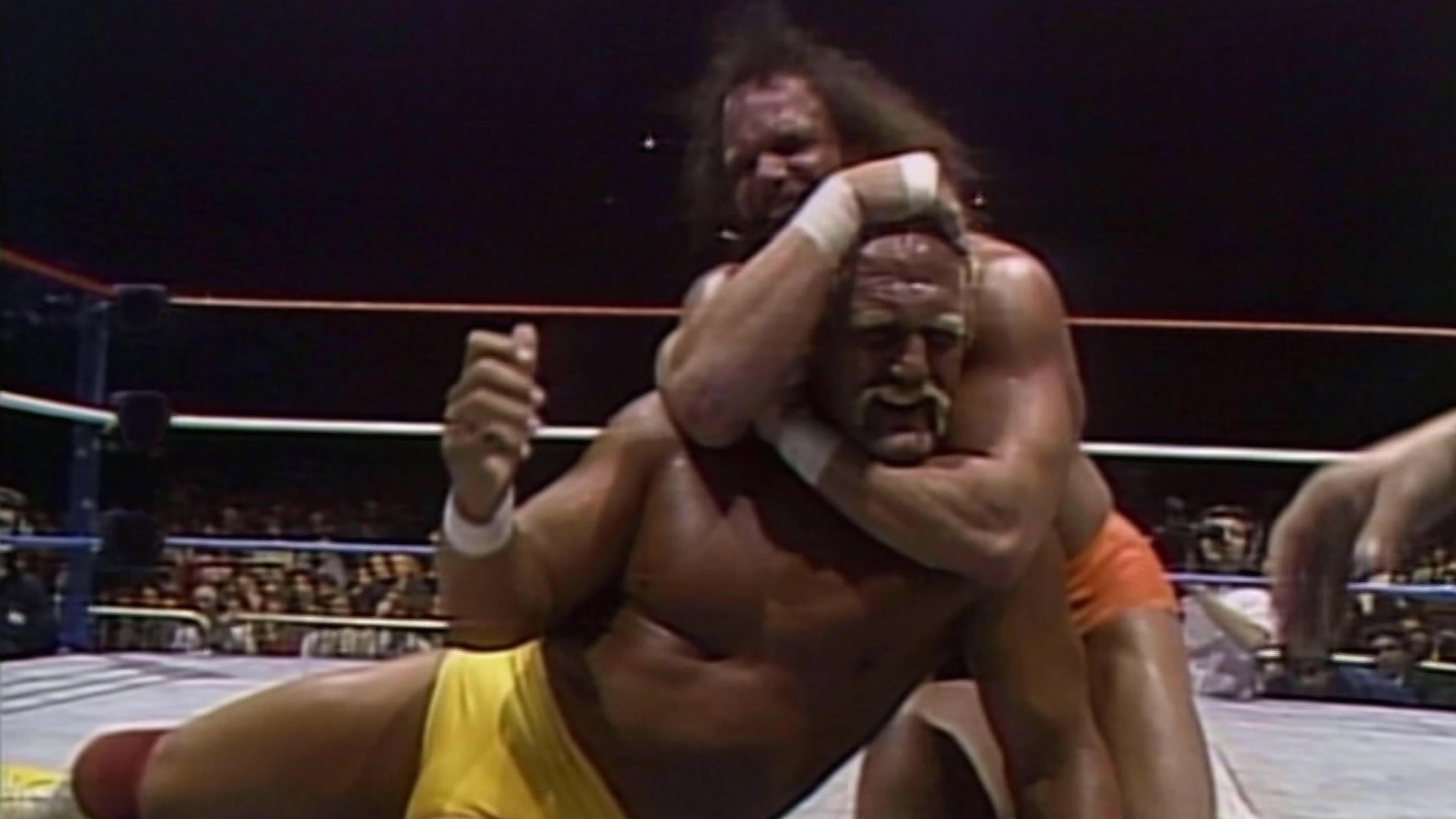 WWE World Tour '90