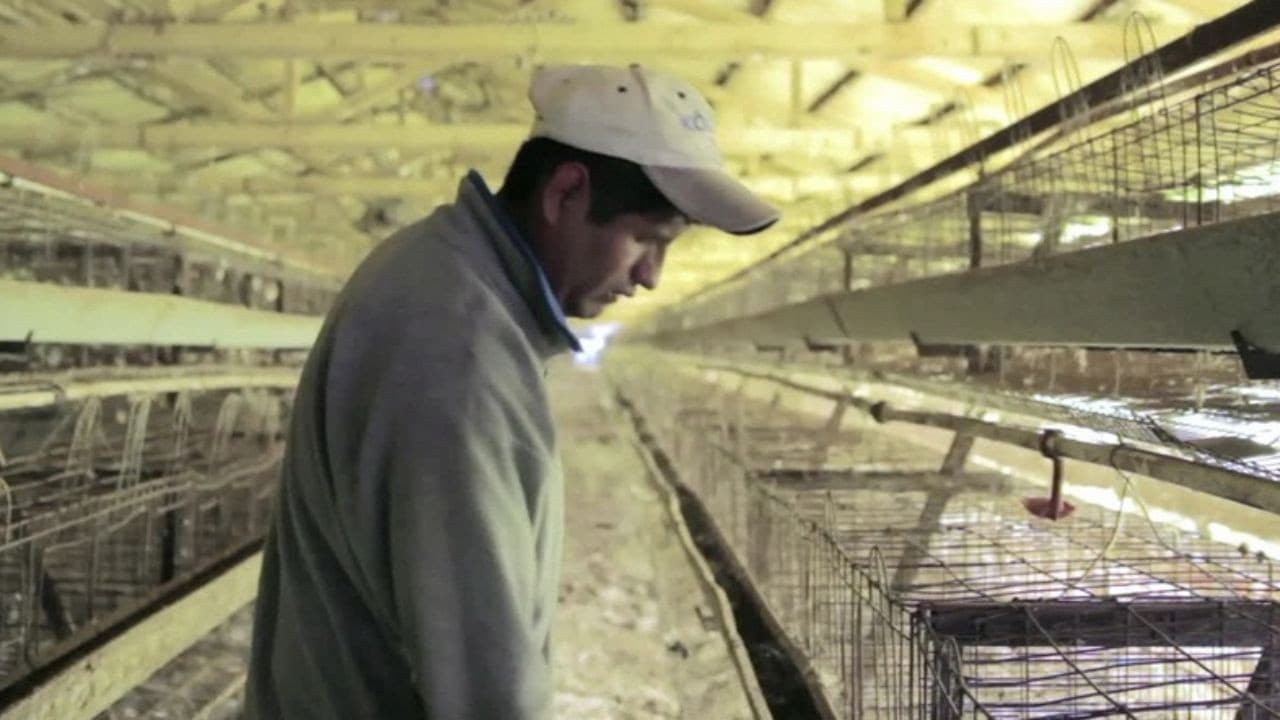 La cáscara rota