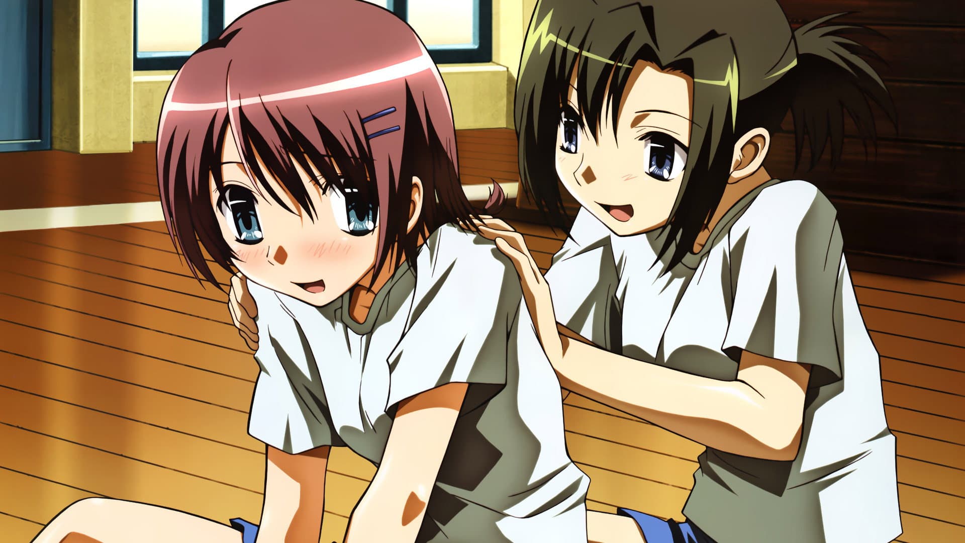 ひとひら