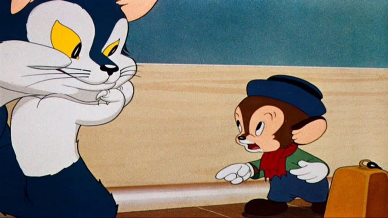 Ponle la campana al gato