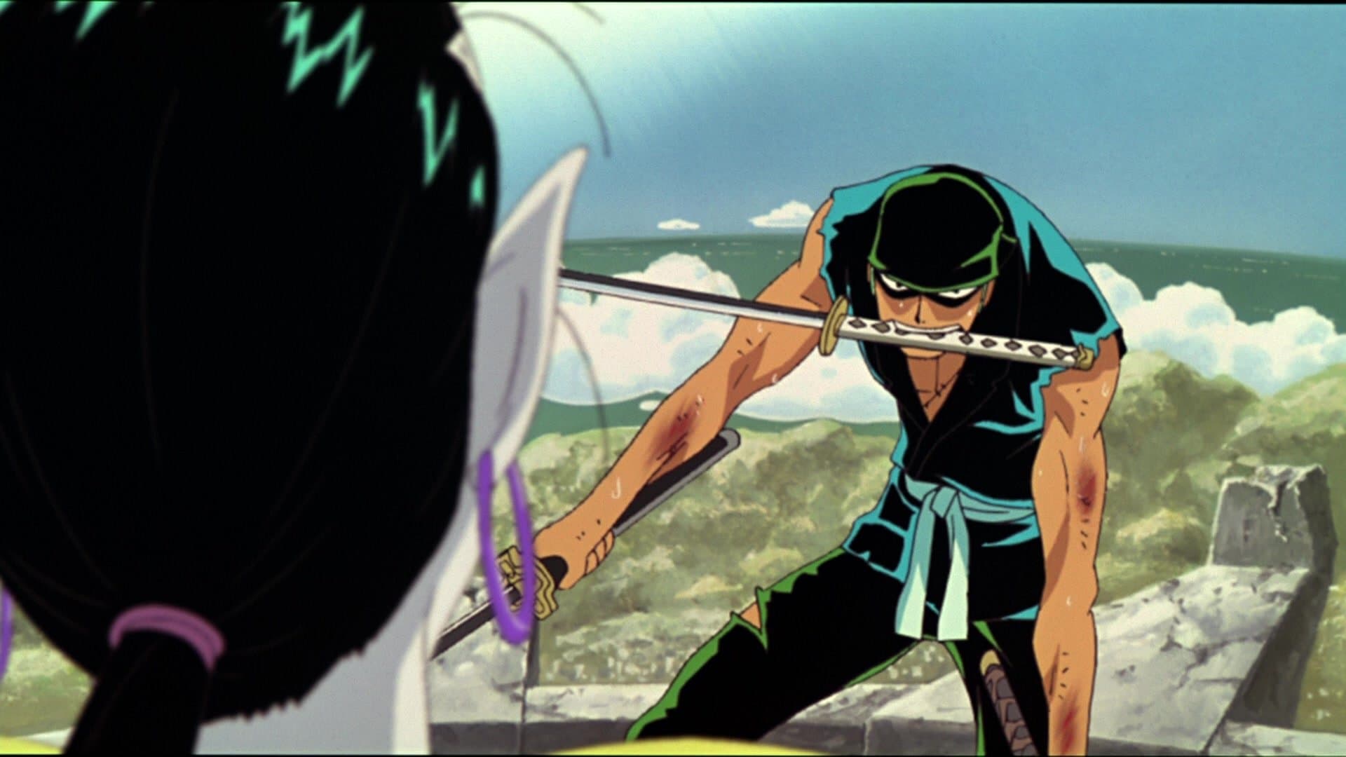 One Piece: Aventura en la Isla Espiral
