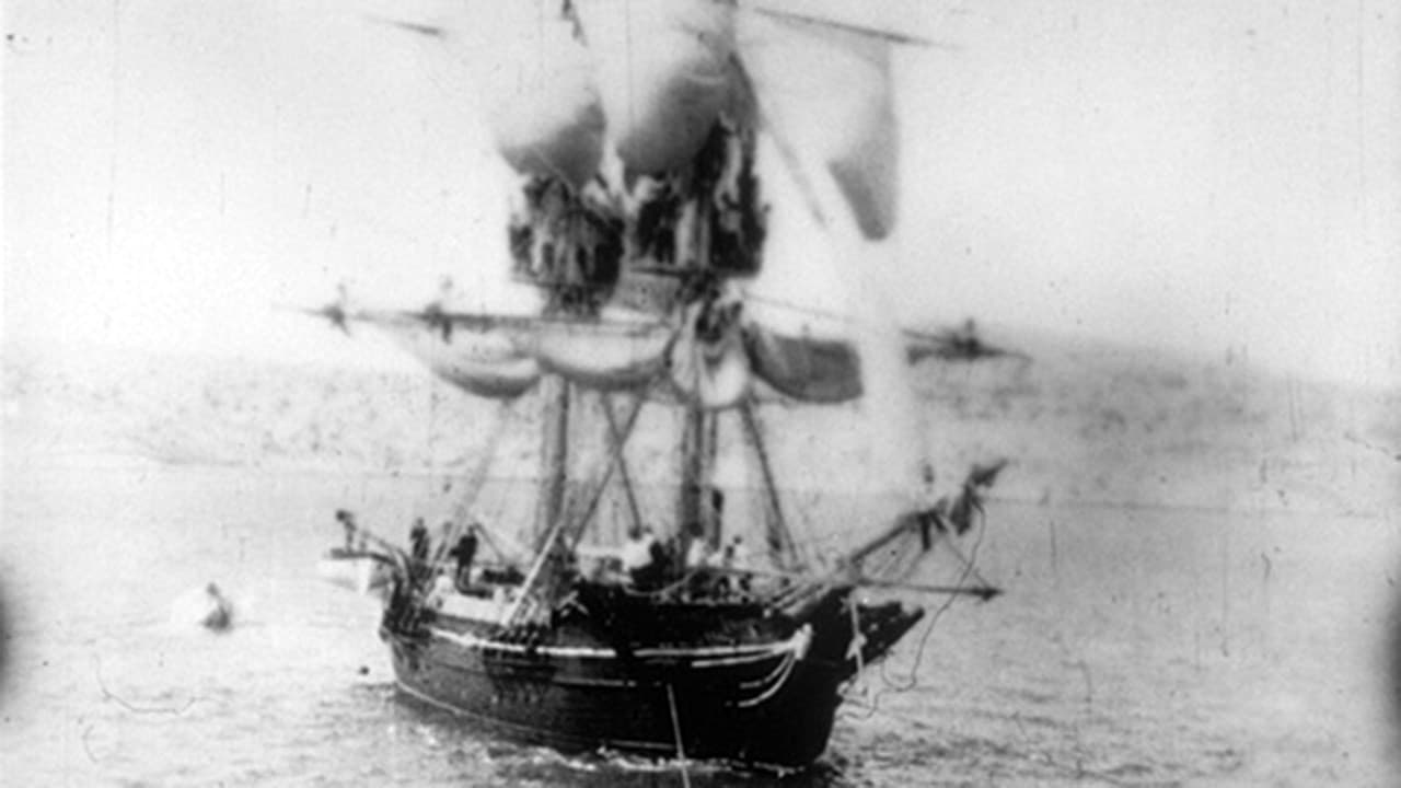 Manœuvres de la marine autrichienne