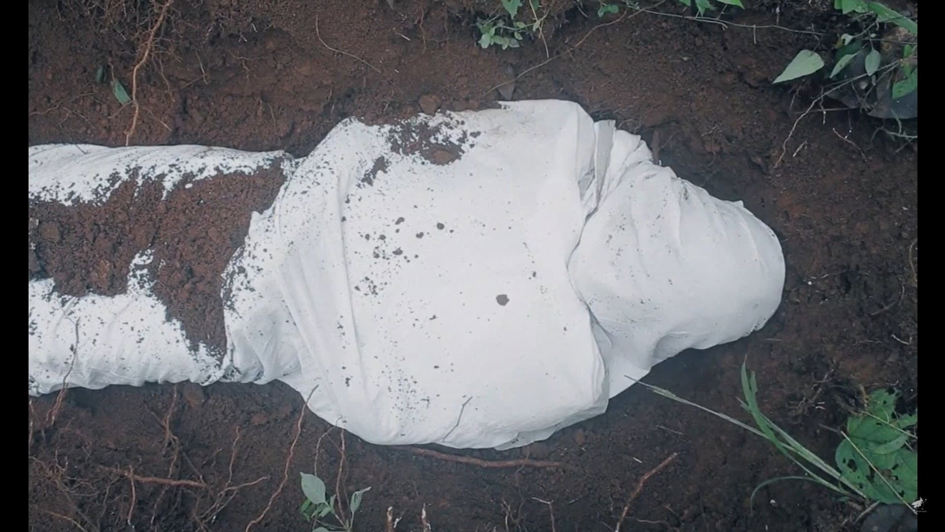 ഭൂമി