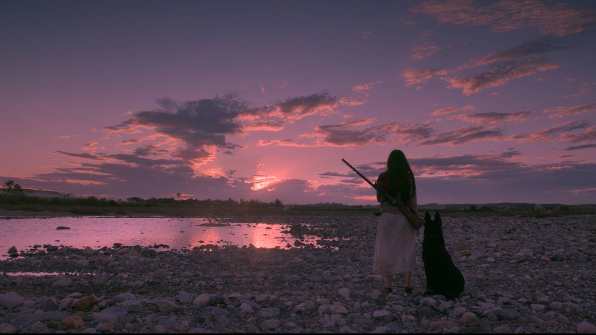 Birdshot: Impunidad Protegida