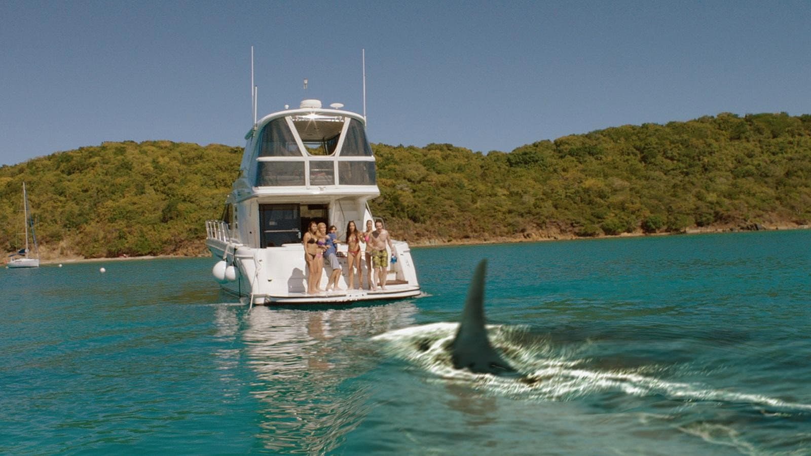 Tiburones del río Mississippi