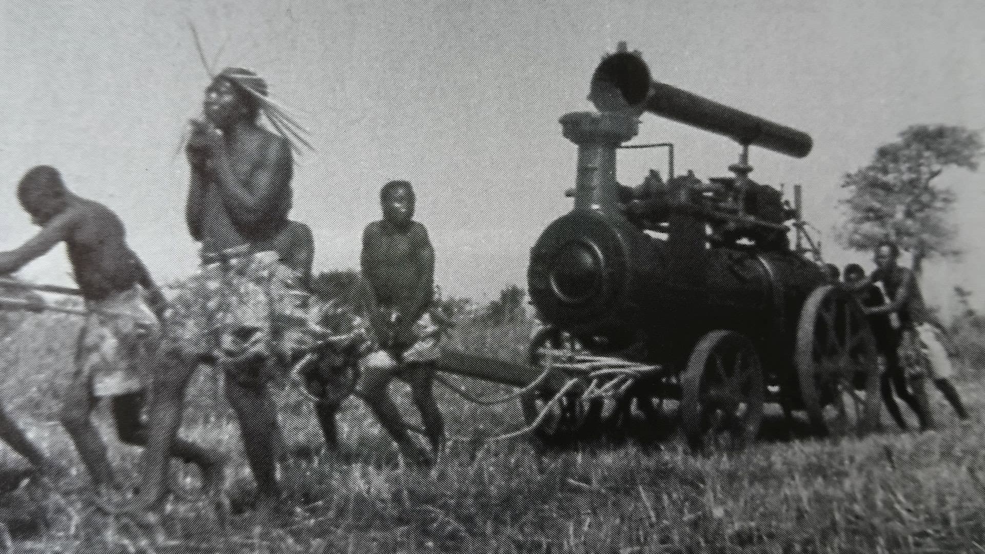 Wonder Afrika