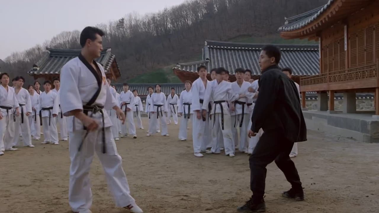 태권 파이터