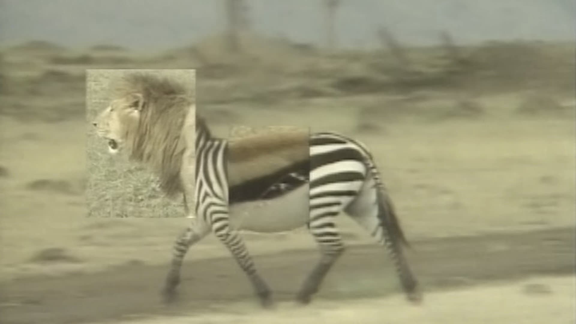アフリカ動物パズル