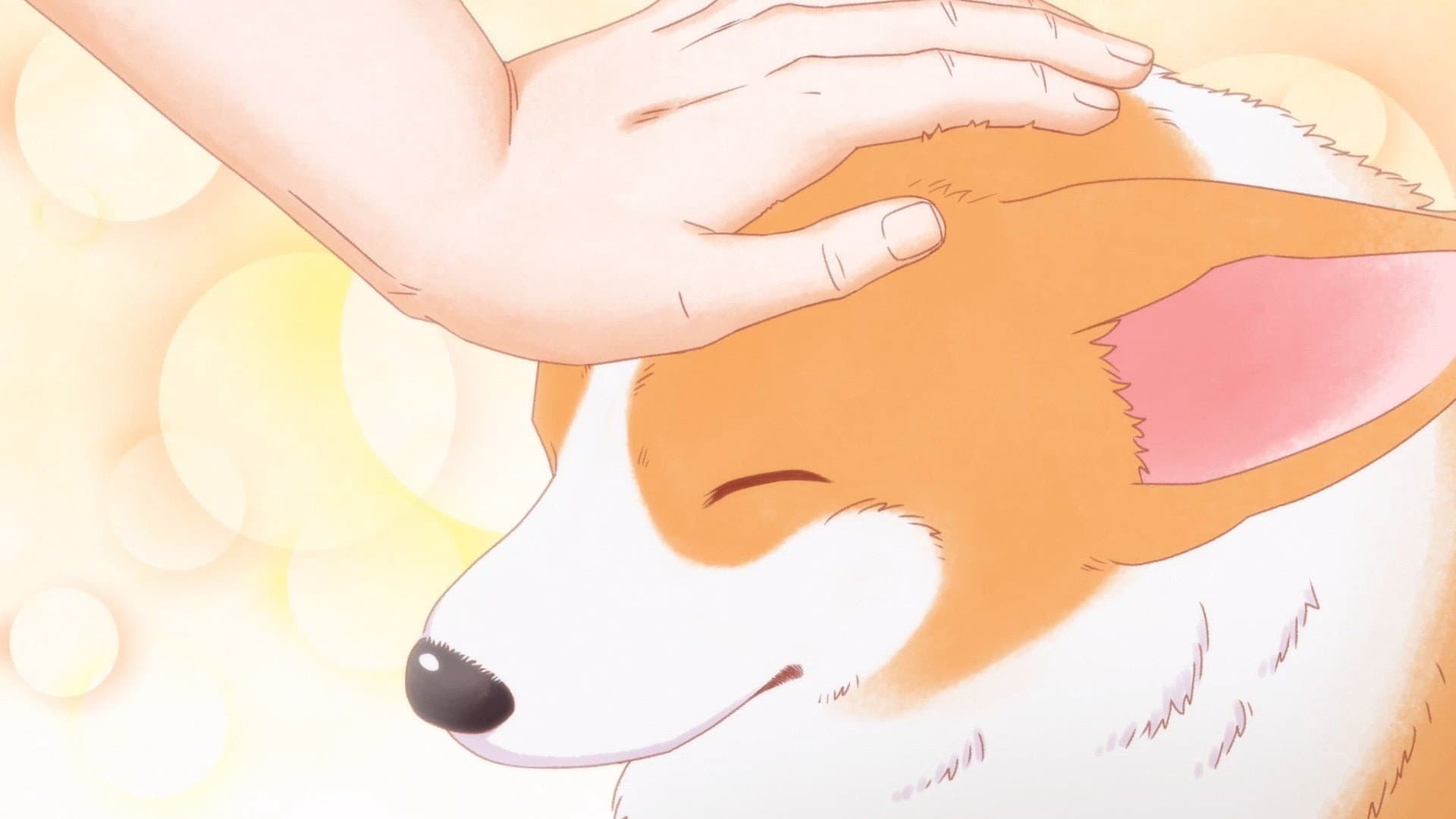 殿と犬