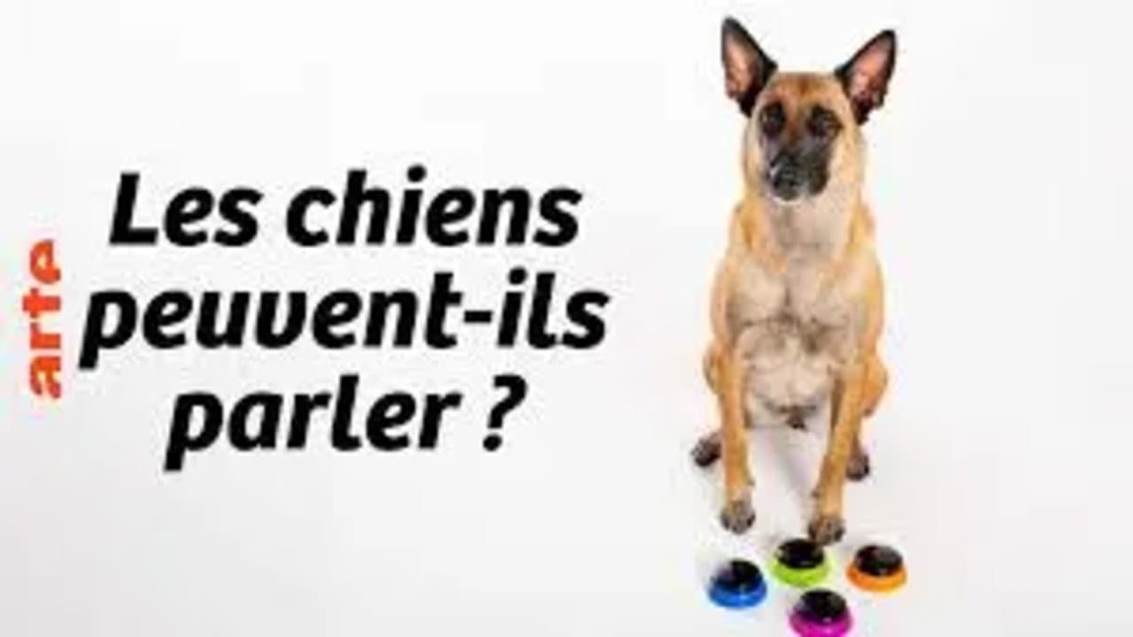 Can Dogs Talk?