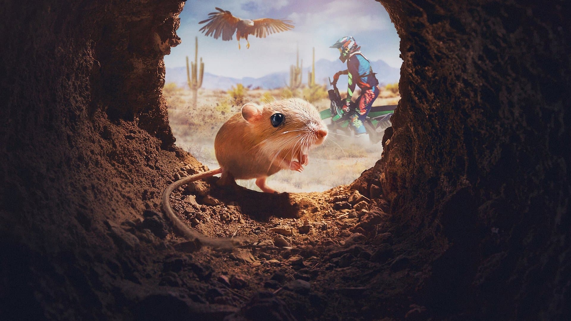 Fauna Minúscula