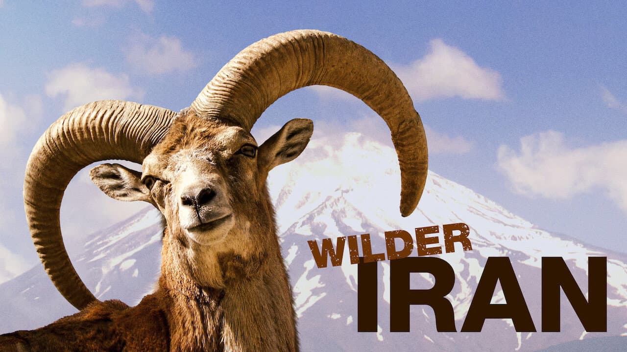 Irán salvaje
