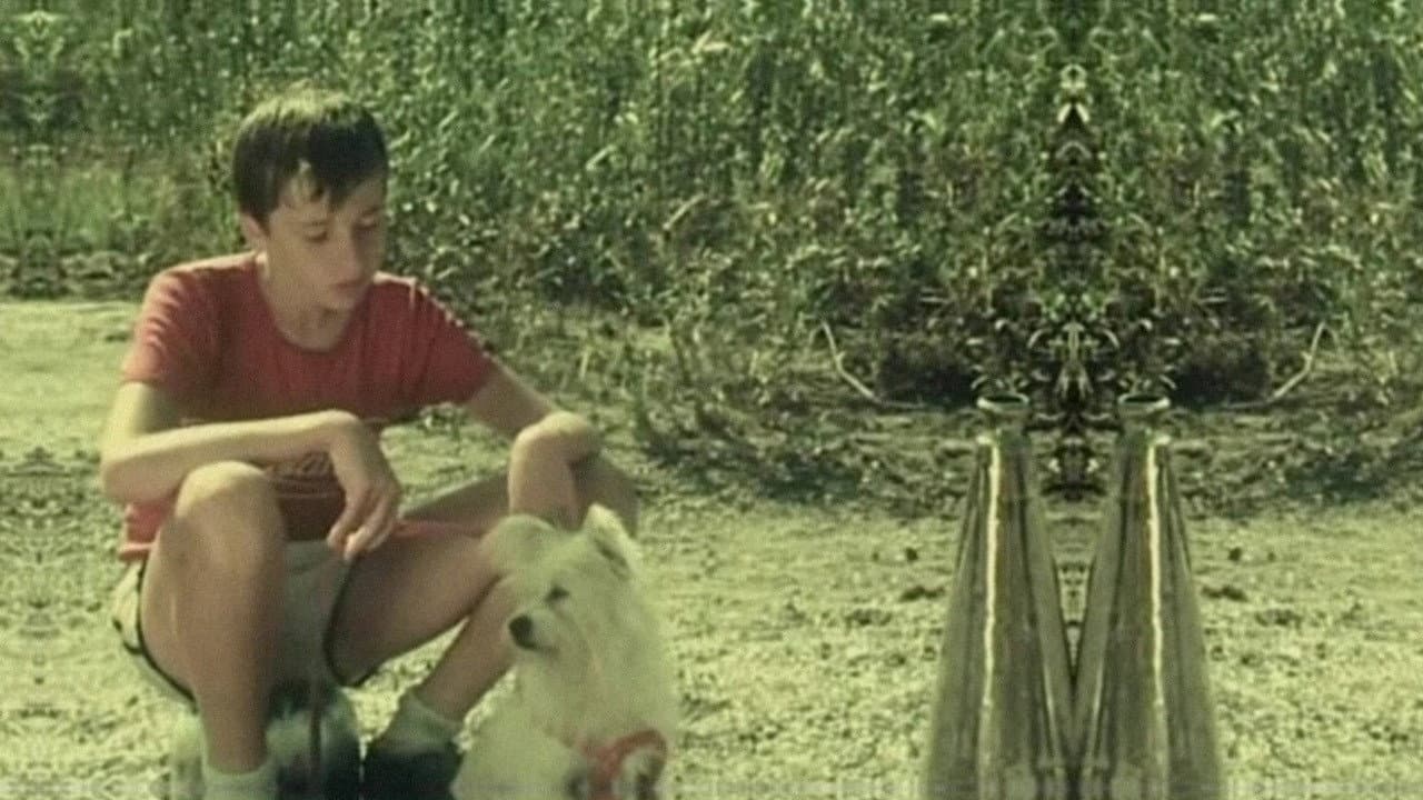 Egreta de fildeș