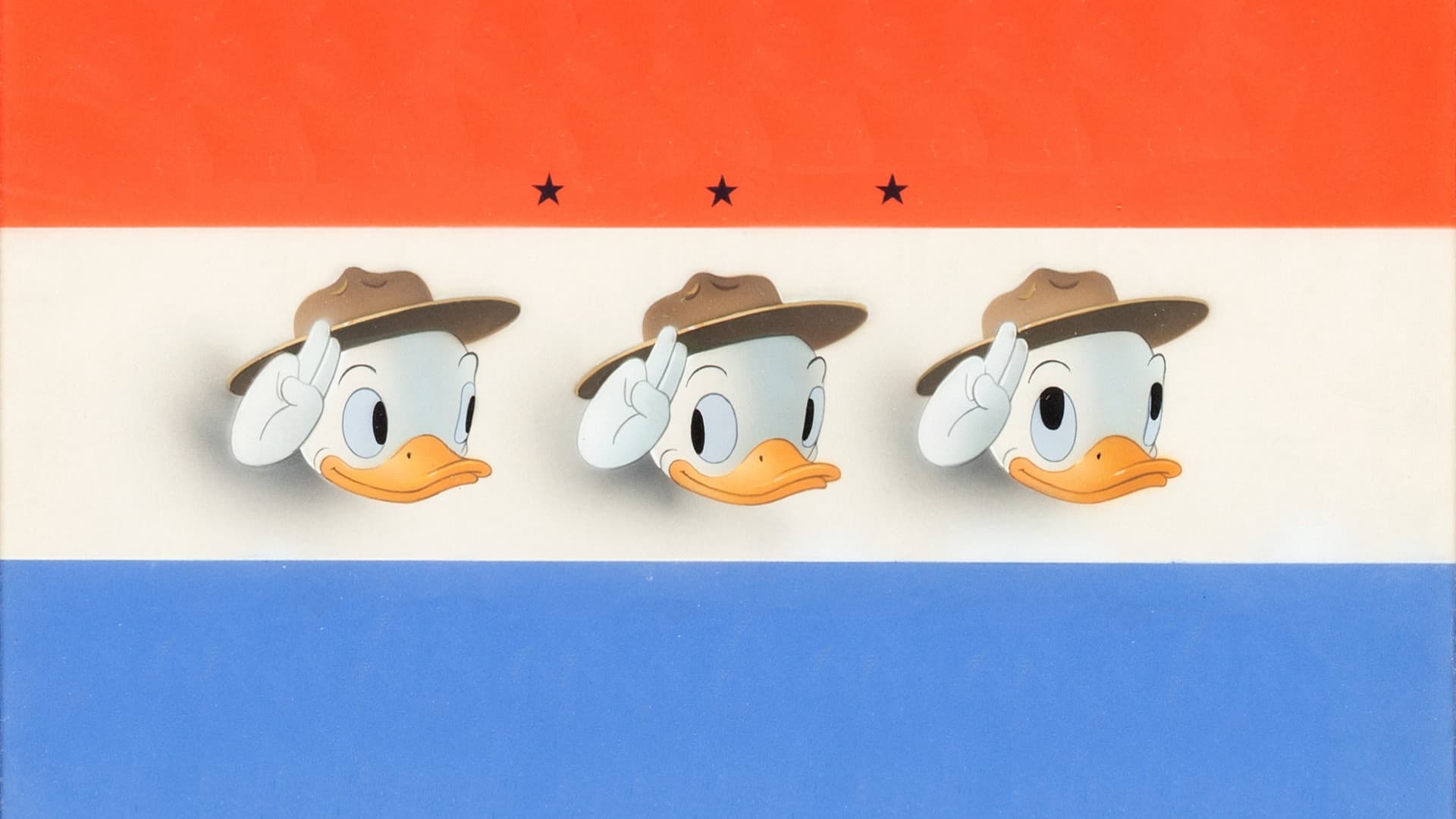 Donald - Buenos Exploradores