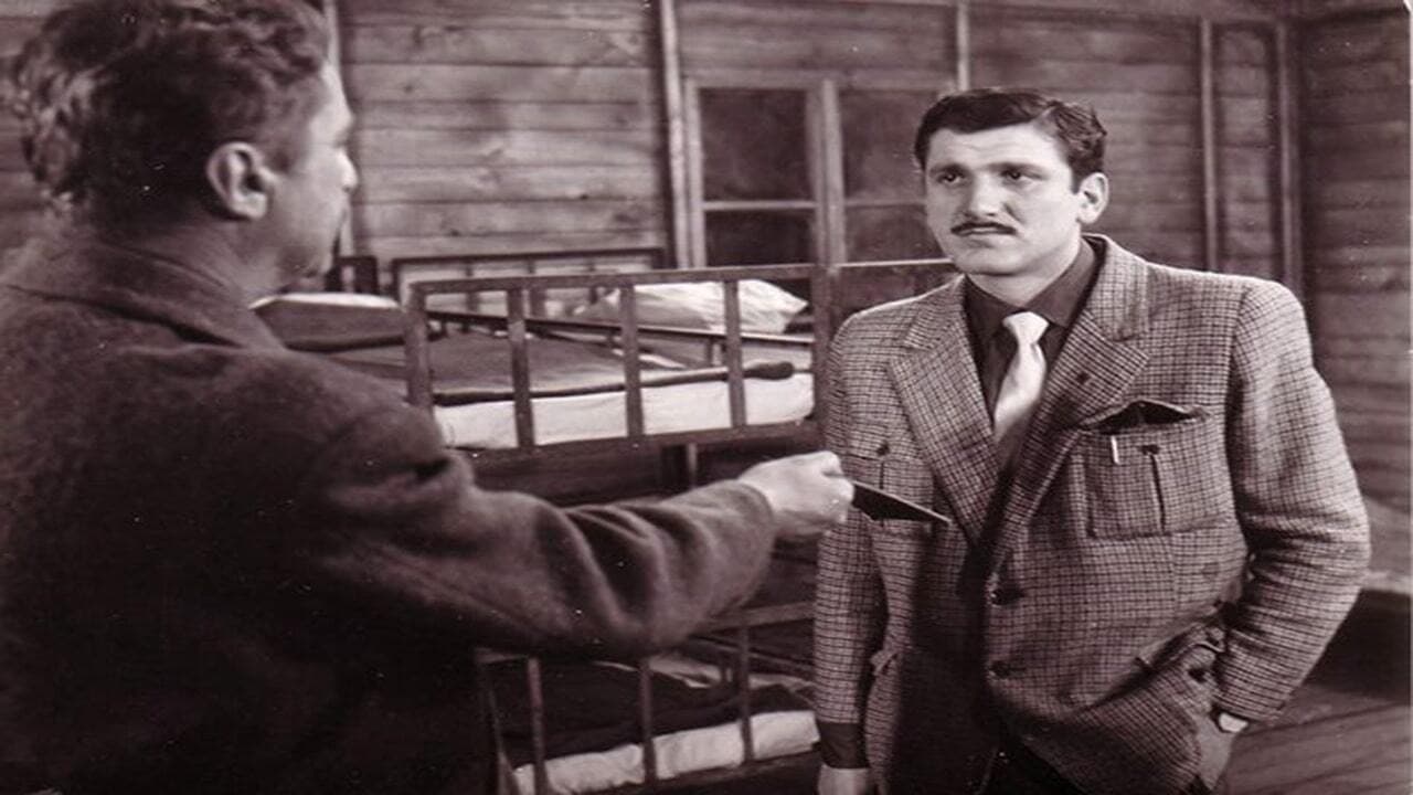 Uzavreli grad