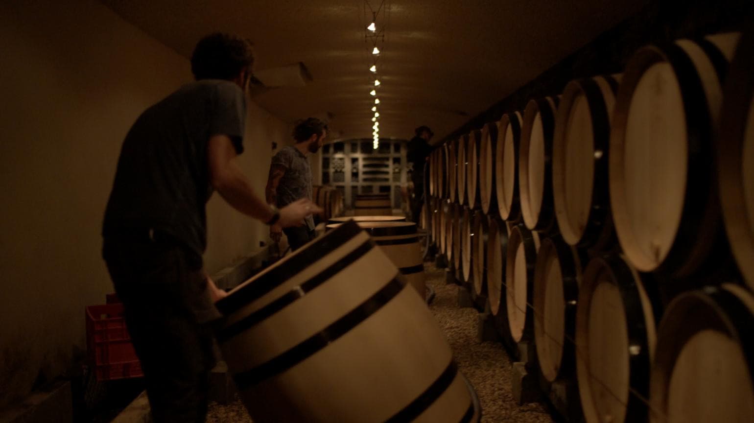 La Ruta del Vino