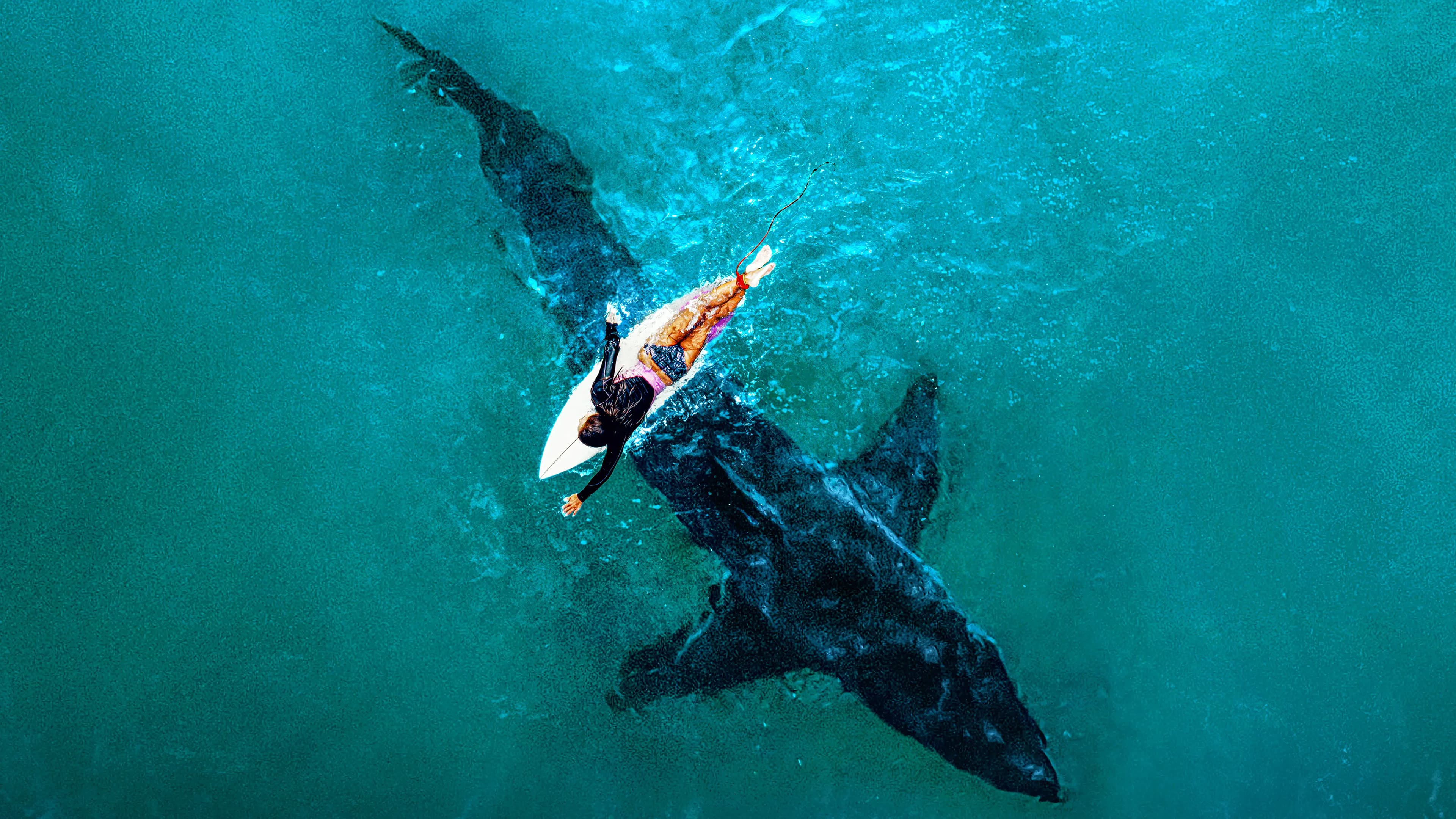 Shark Week 30 Años