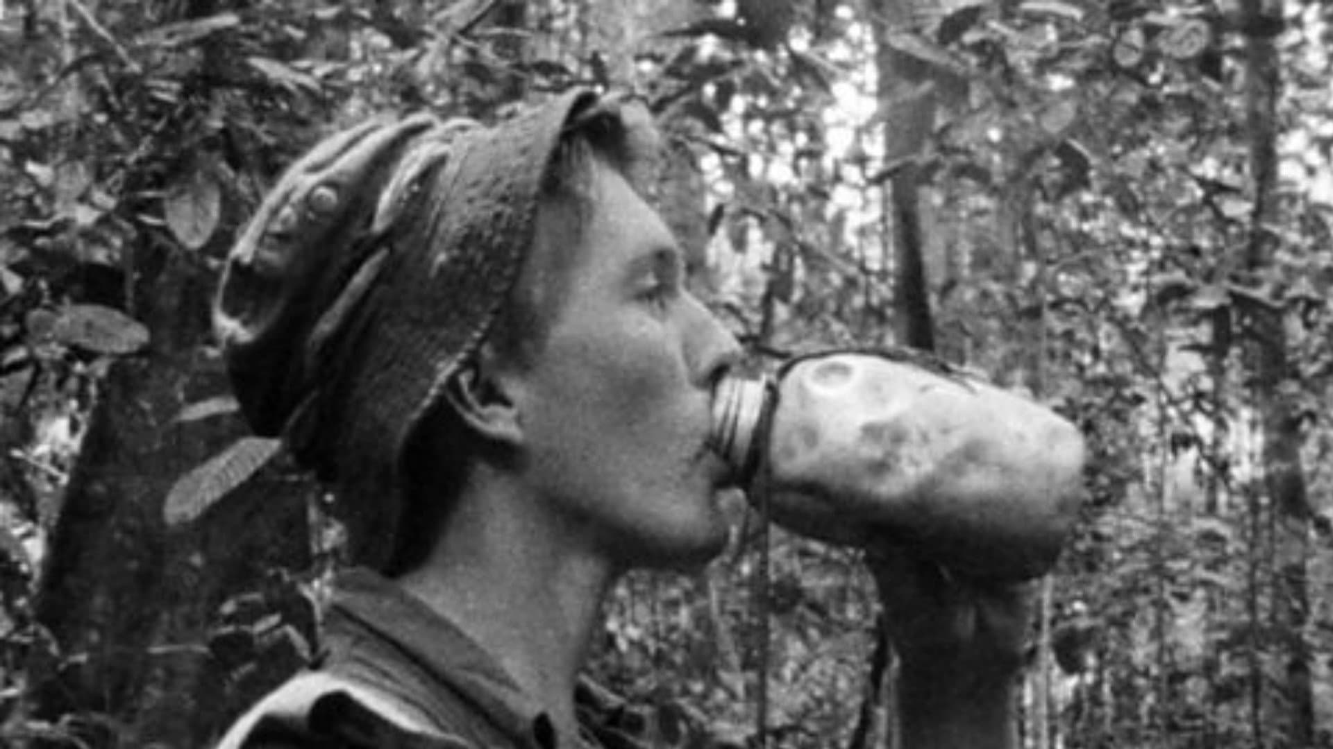 Jungle Green: Borneo