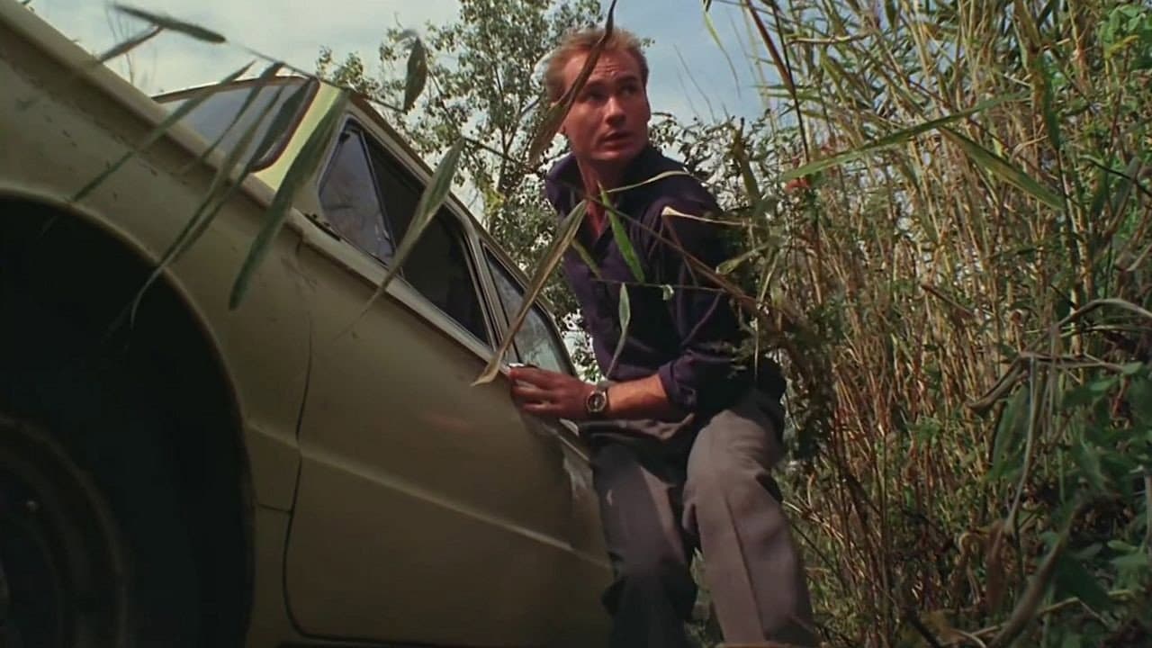 Америкэн Бой