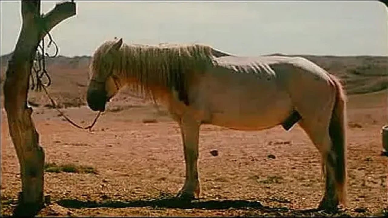 季风中的马