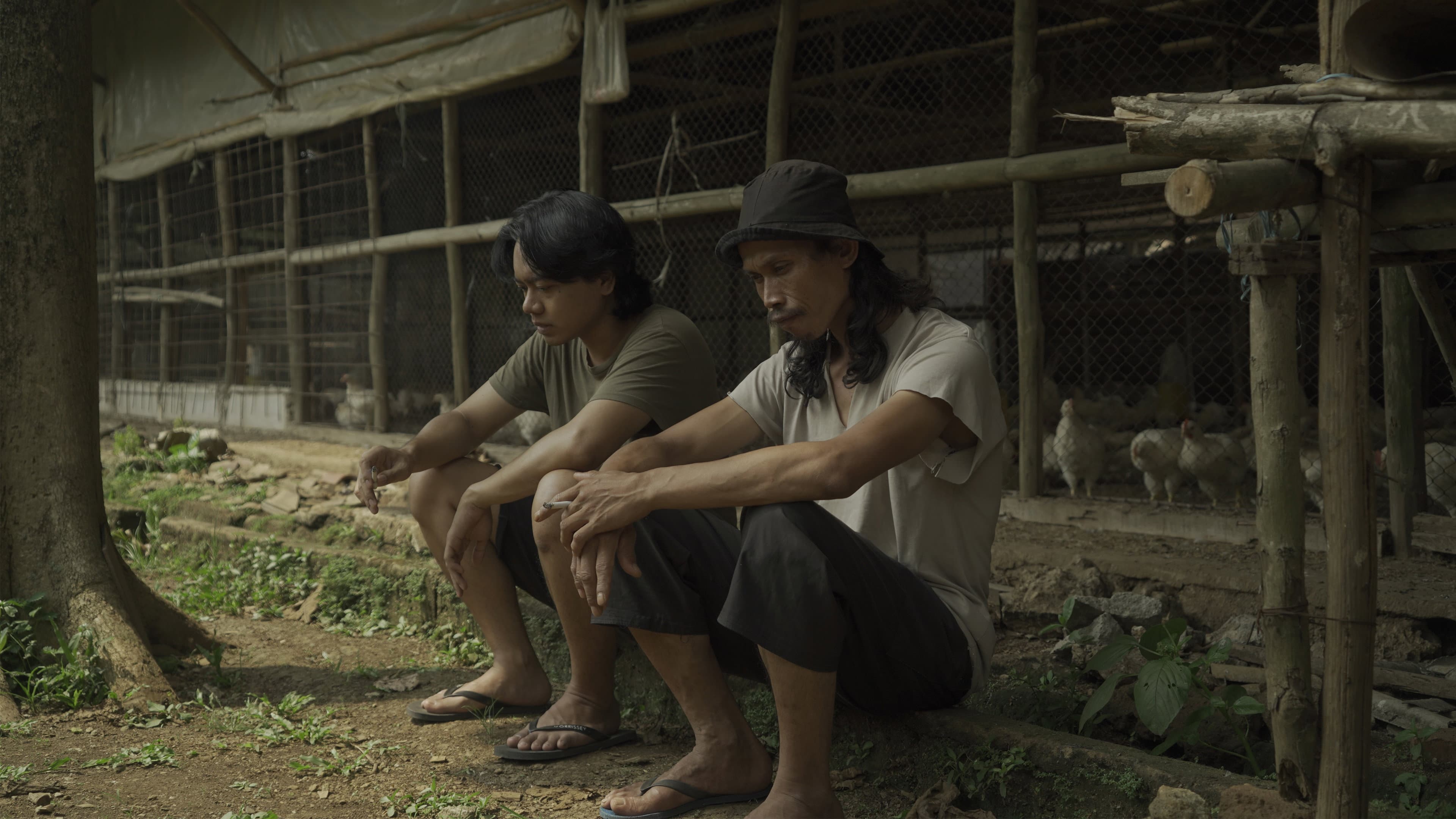 Ayam Maya
