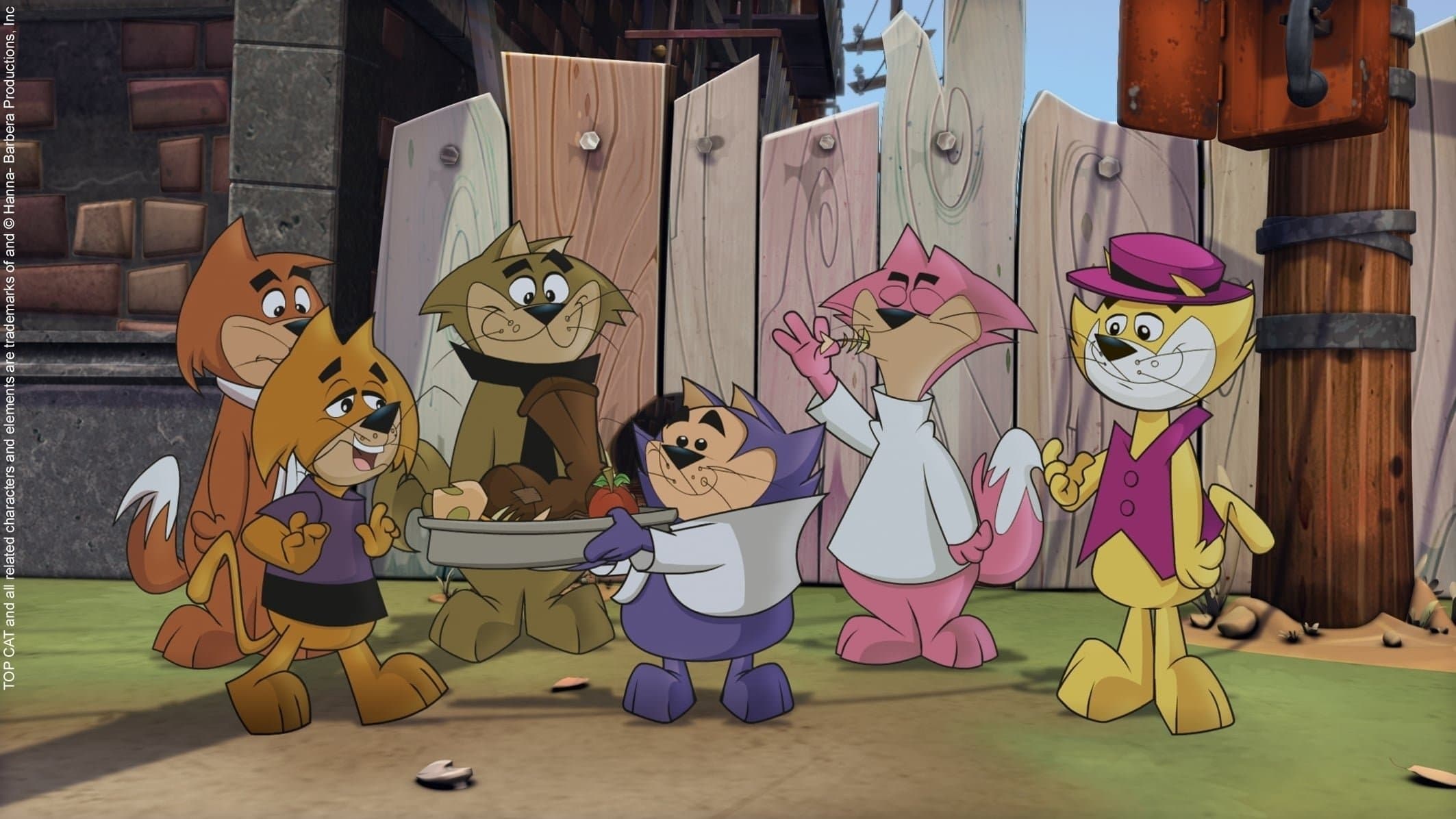 Top Cat Collection