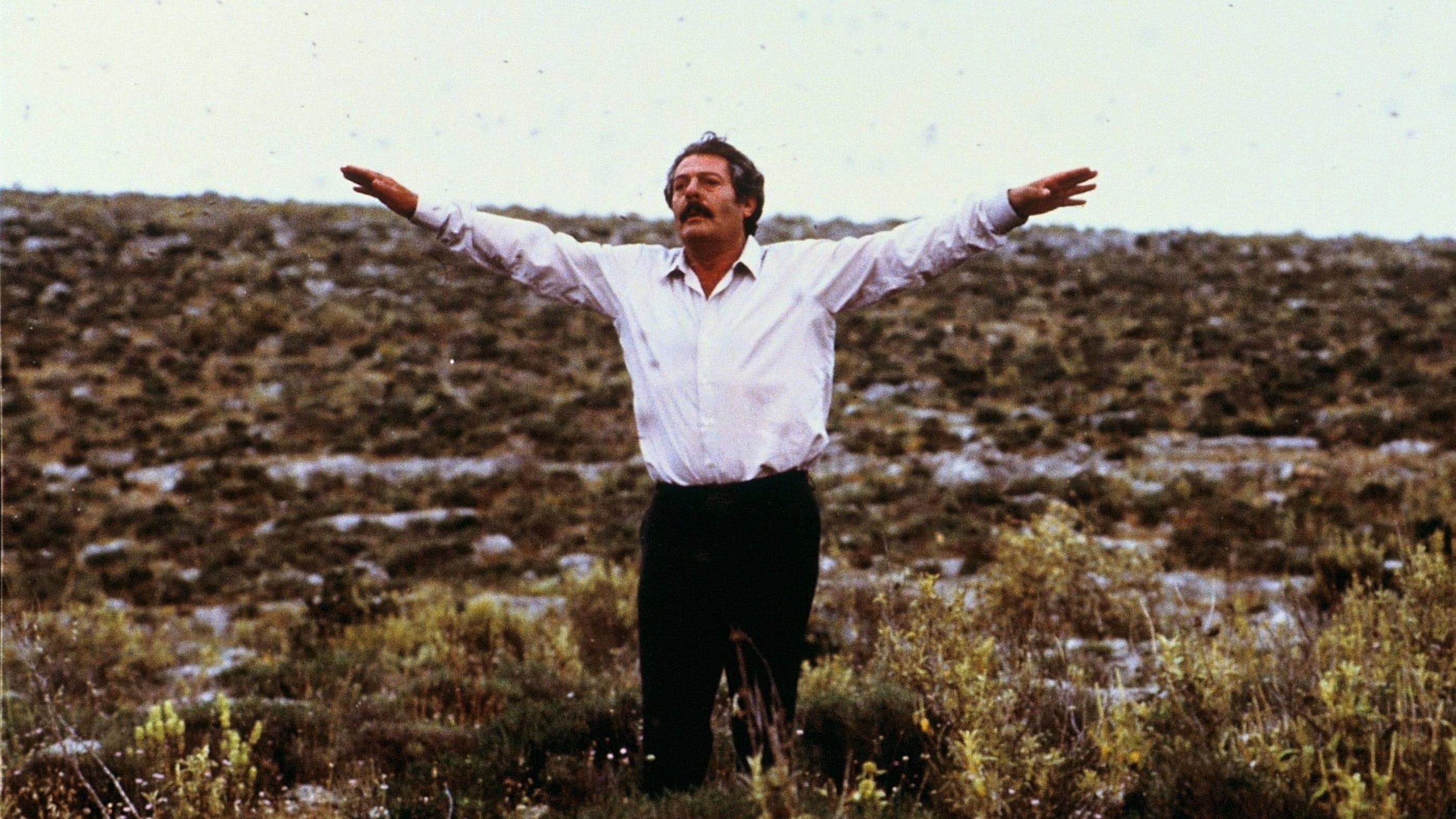 El apicultor