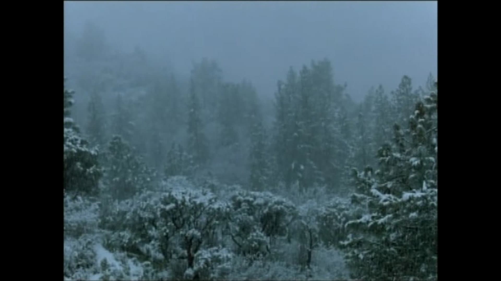 Pine Flat