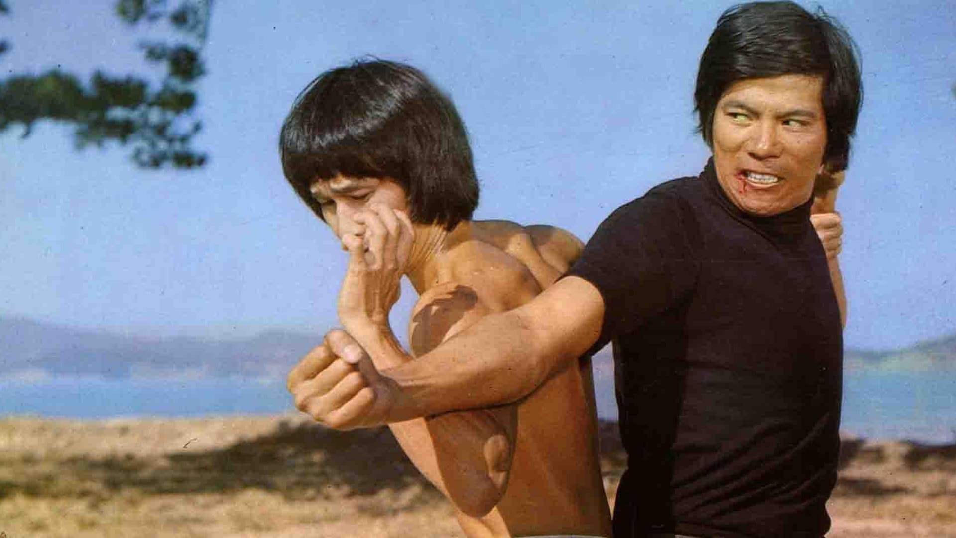 Pi li long quan