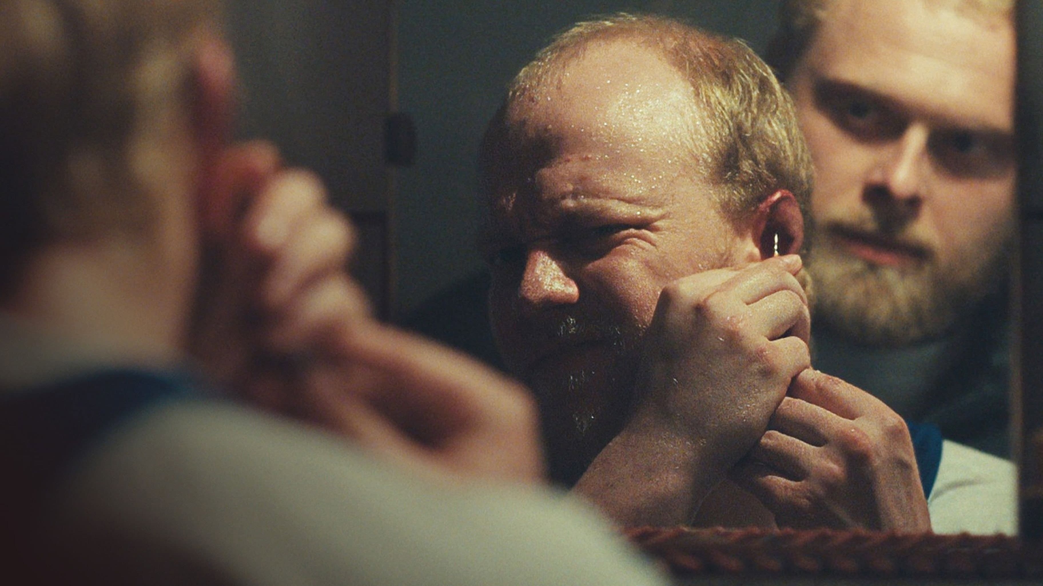 Misie polarne