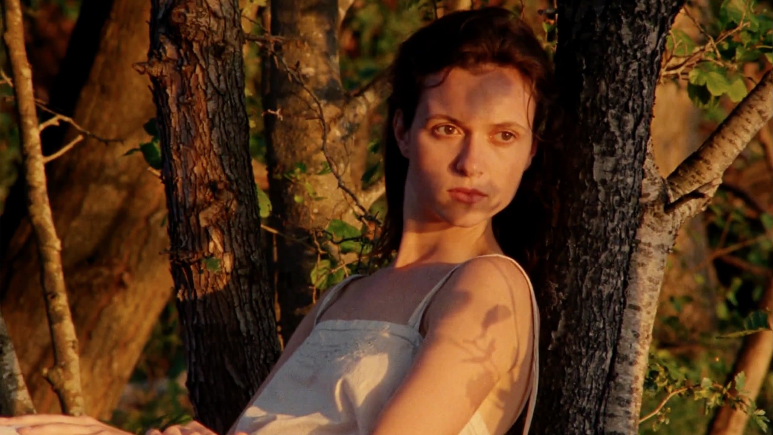 Scarlet (L'envol)