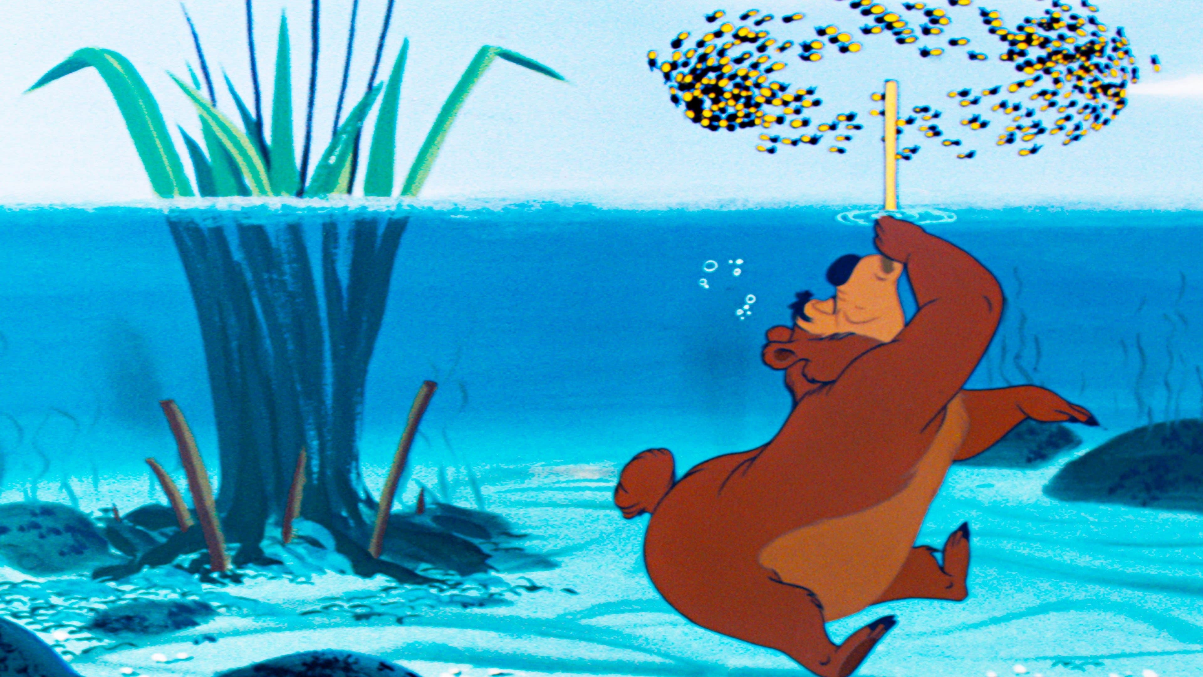 El Oso y las Abejas