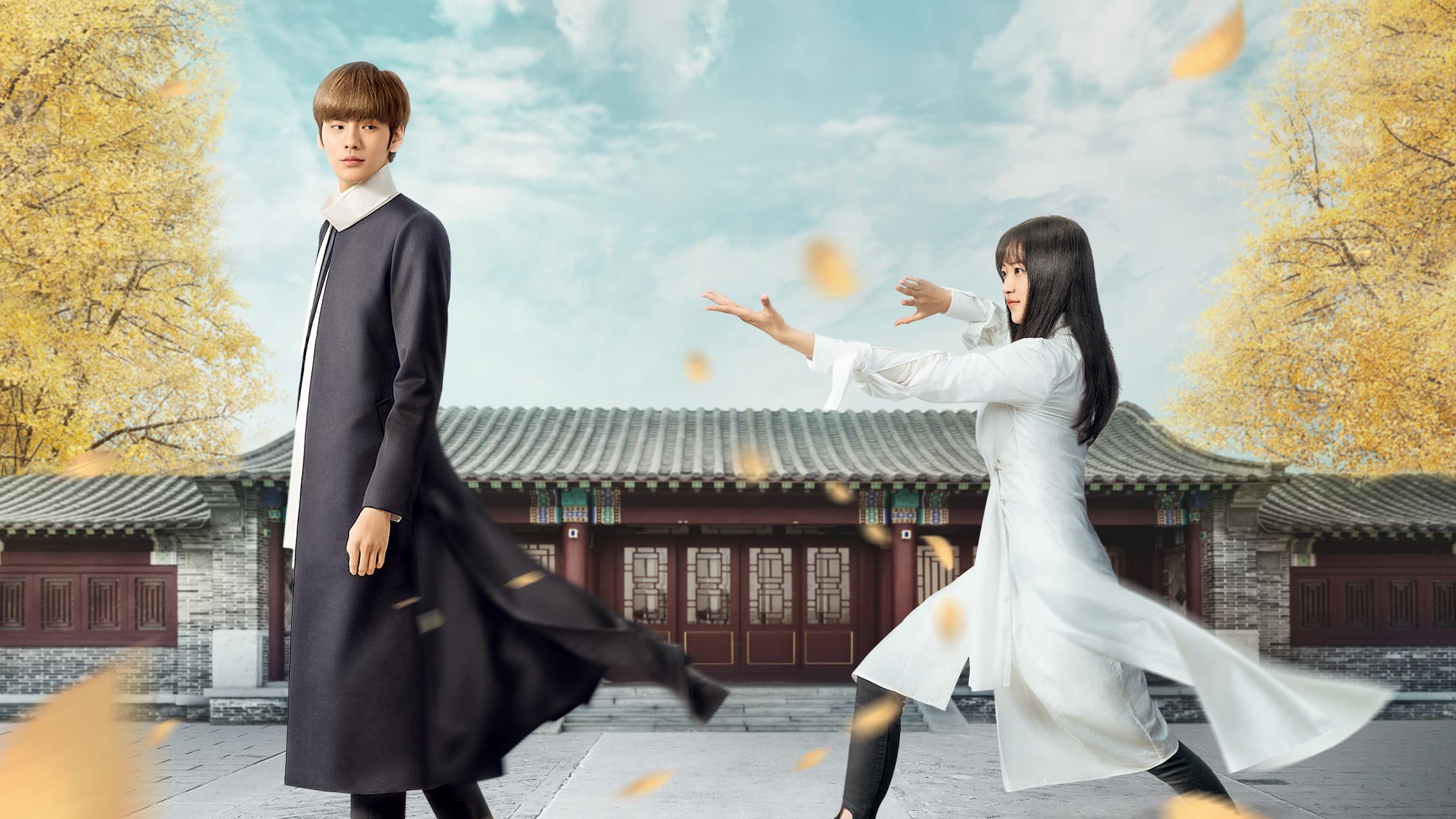 淑女飘飘拳