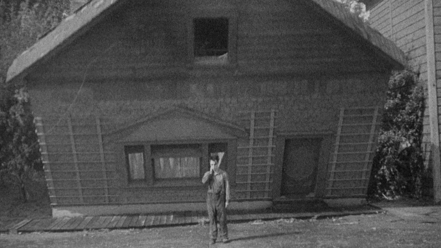 Steamboat Bill, Jr.