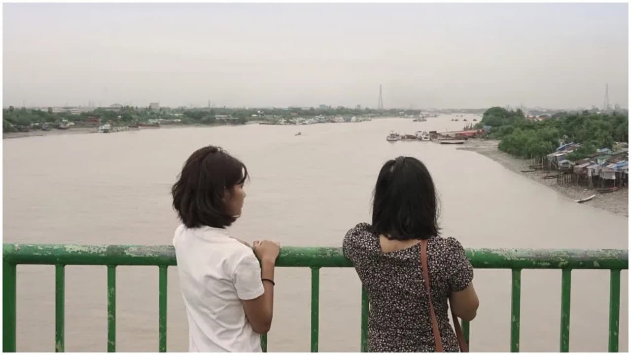 သစ်သီးခူး