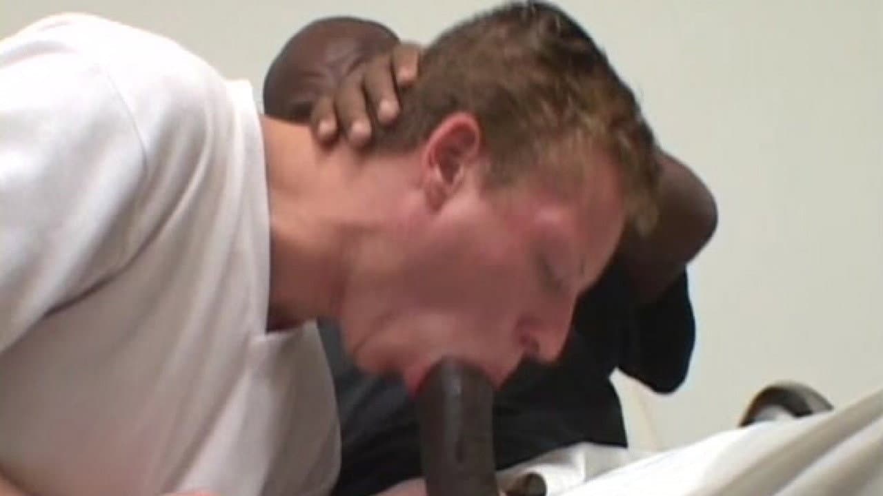 Ao Mestre com Carinho