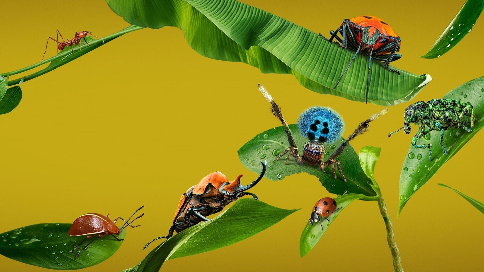 Bichos: Una verdadera aventura en miniatura