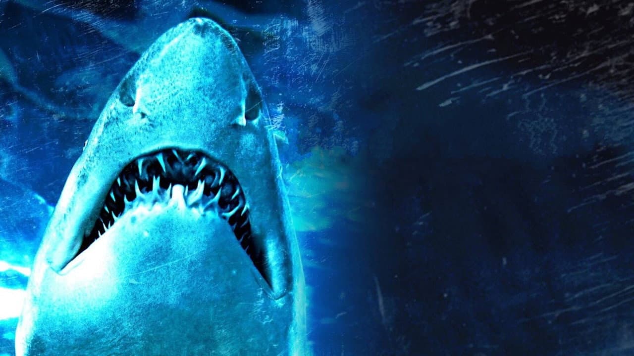 ¡Tiburones!