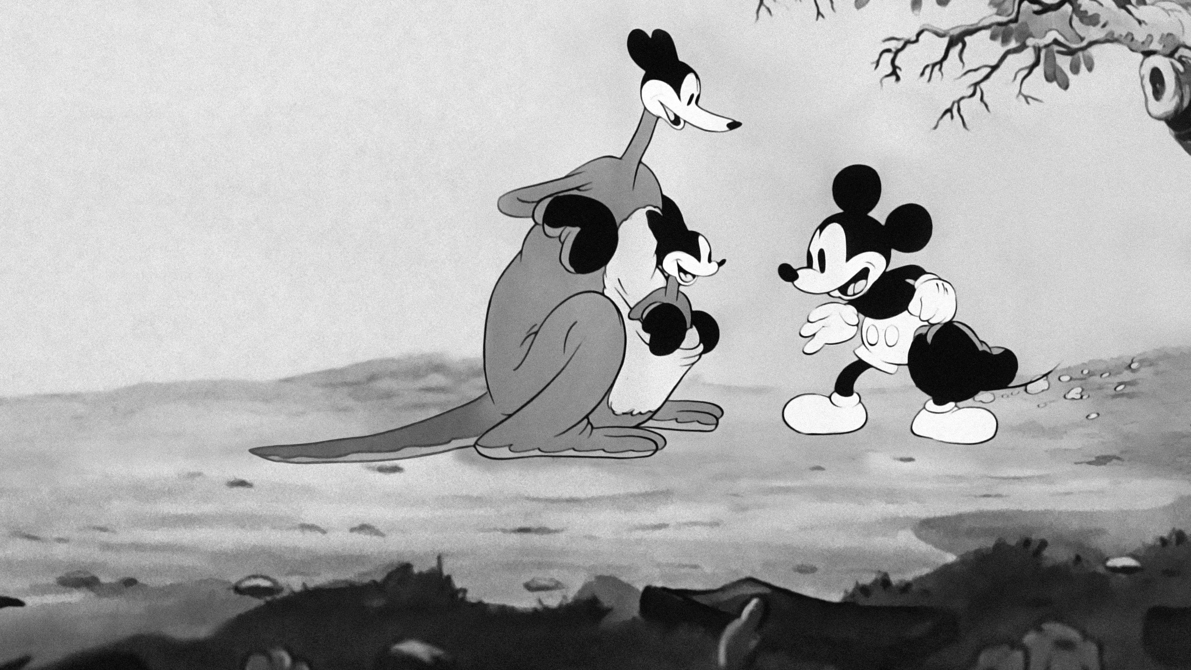 El canguro de Mickey