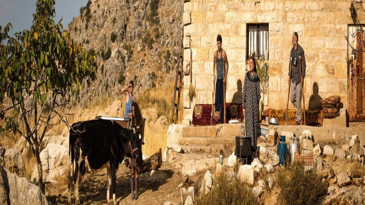 سايبة
