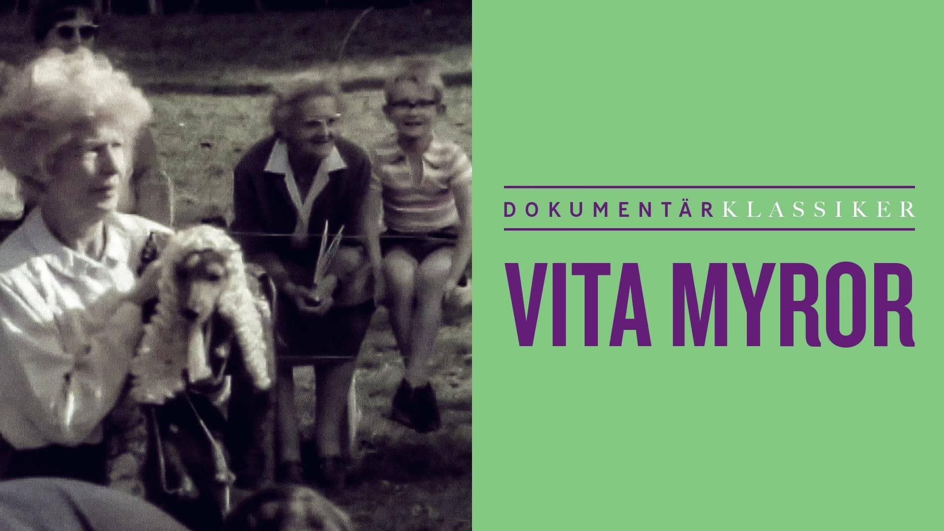 Vita myror