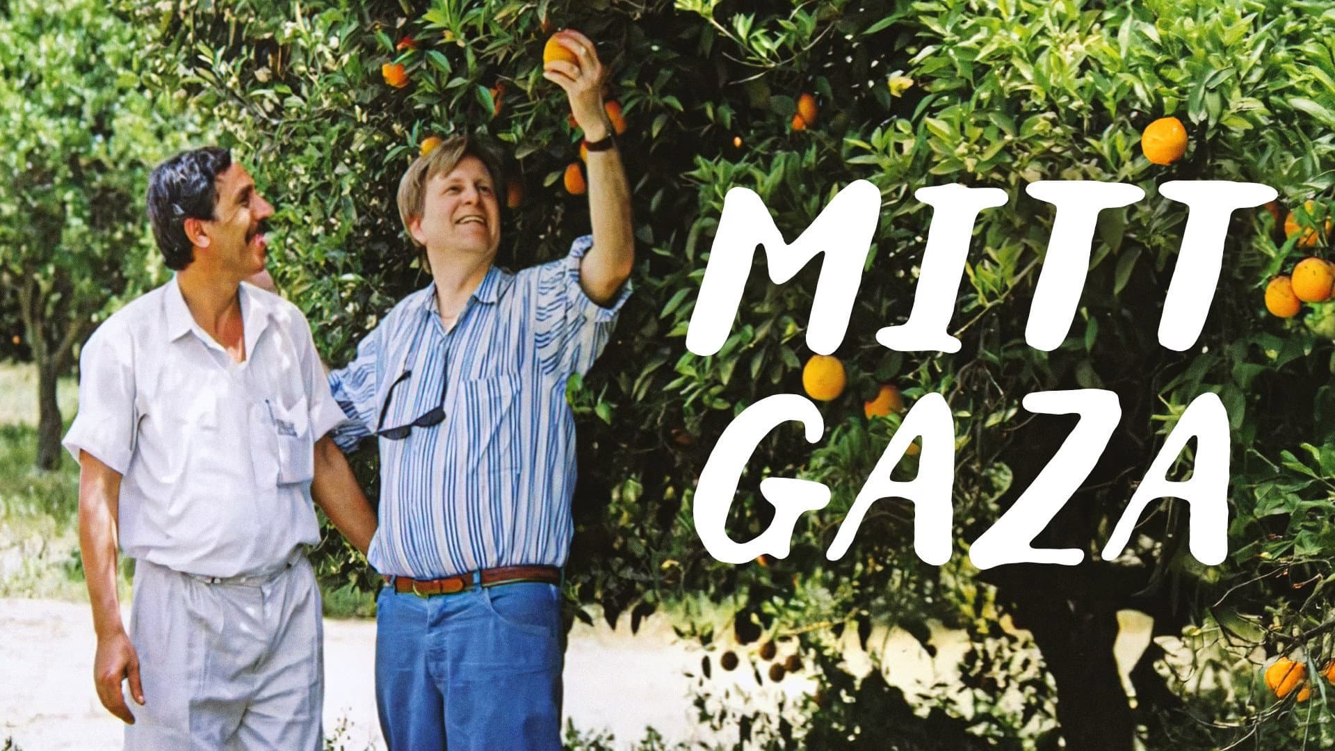 Mitt Gaza