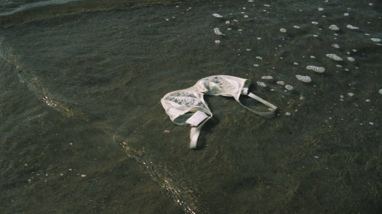 Souvenirs d'une journée parfaite