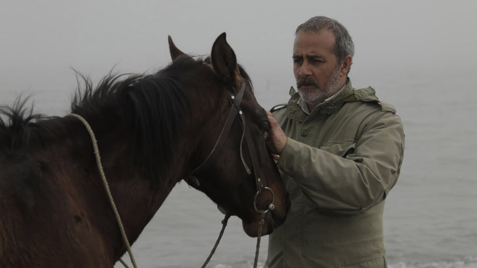 Kömür