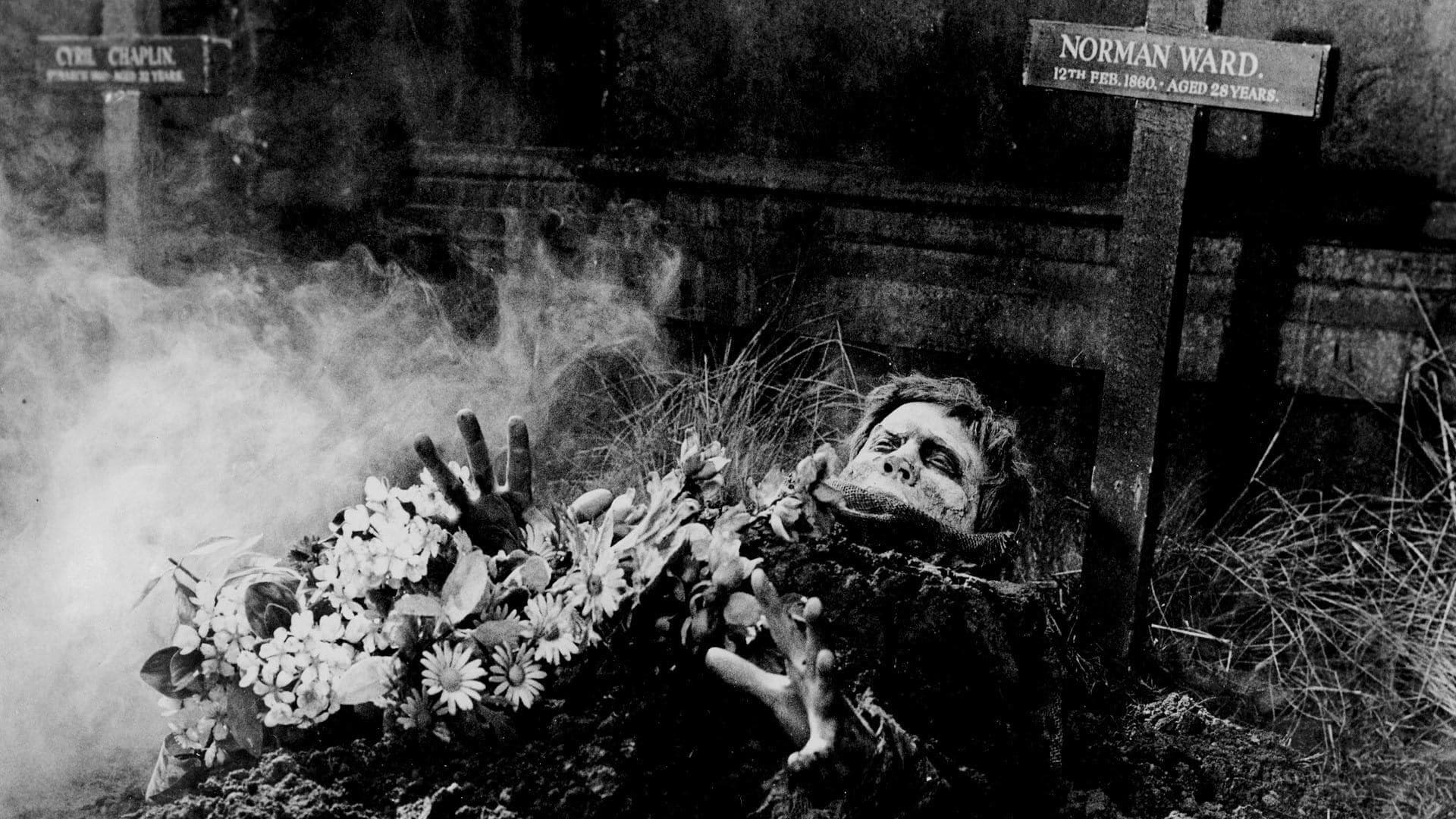 La maldición de los zombies