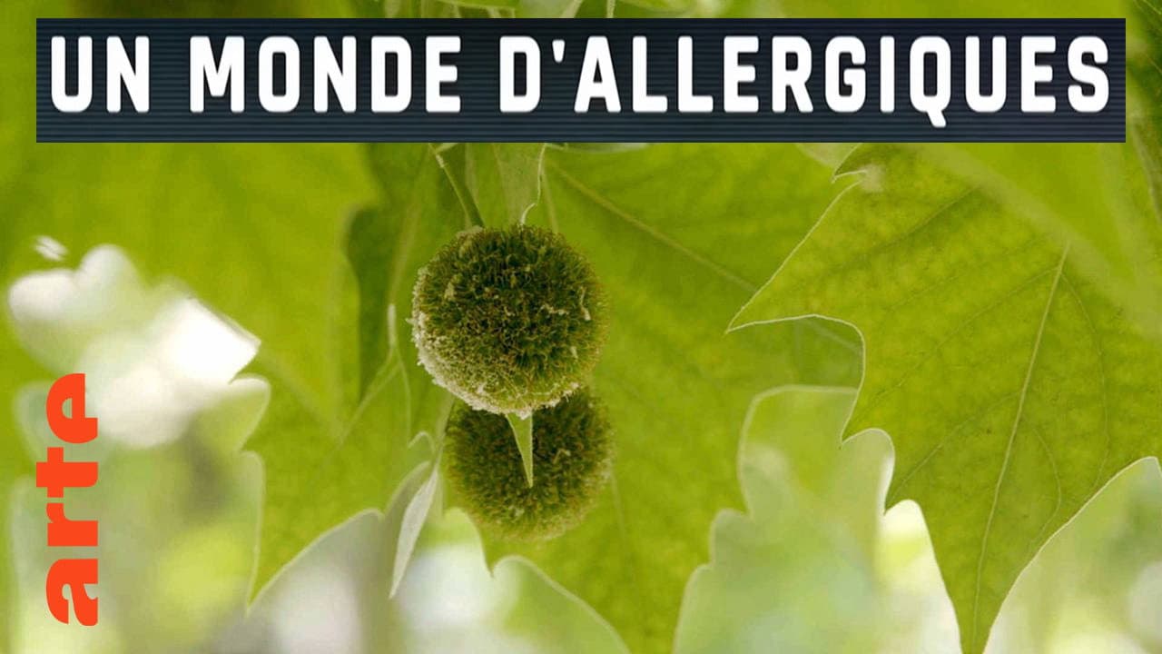 Alergias, la paranoia inmunológica