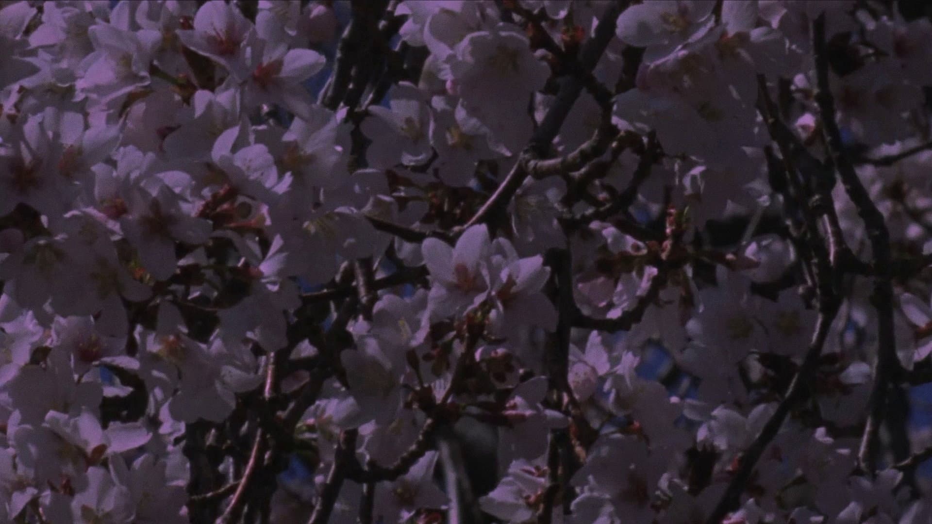 Spring Songs