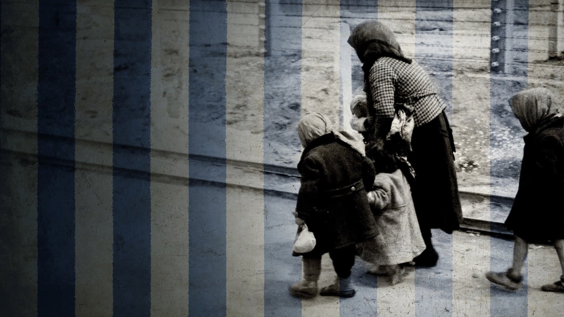 Ein Tag in Auschwitz