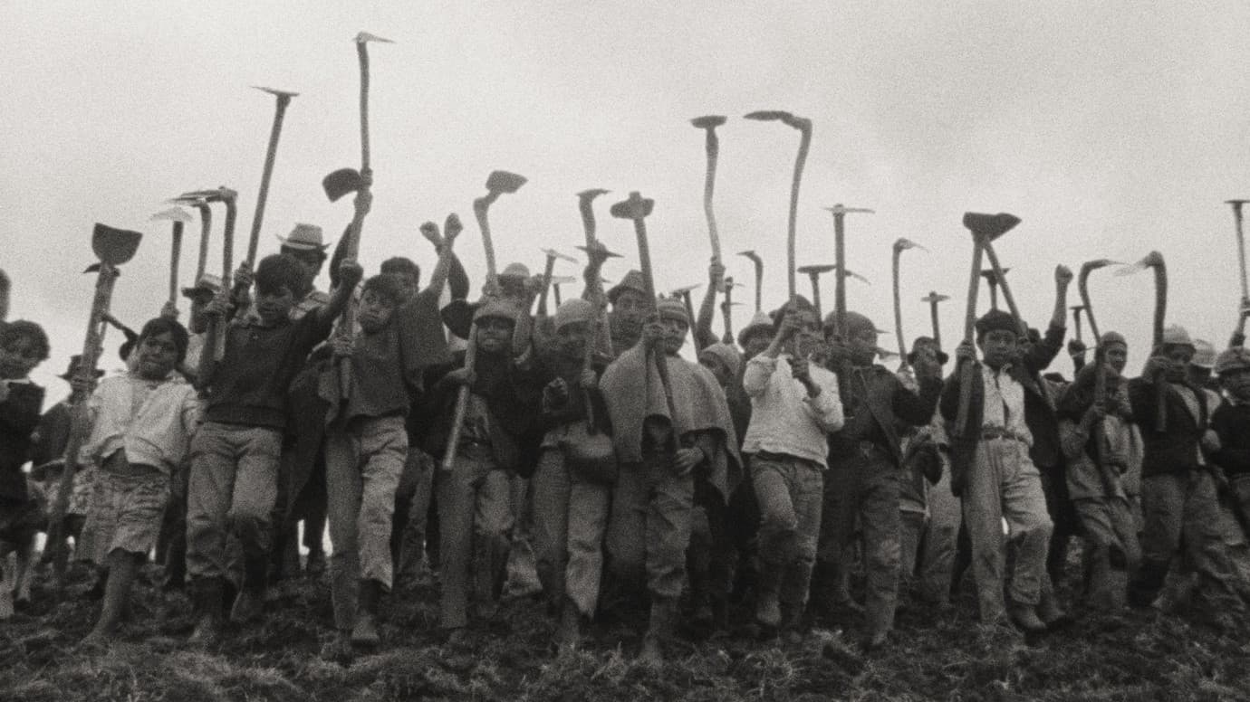 Nuestra voz de tierra, memoria y futuro